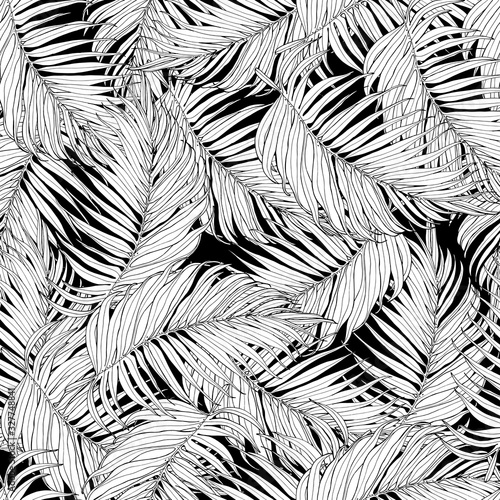 Seamless pattern, black and white palm leaves. Tropical pattern, botanical leaf backdrop.