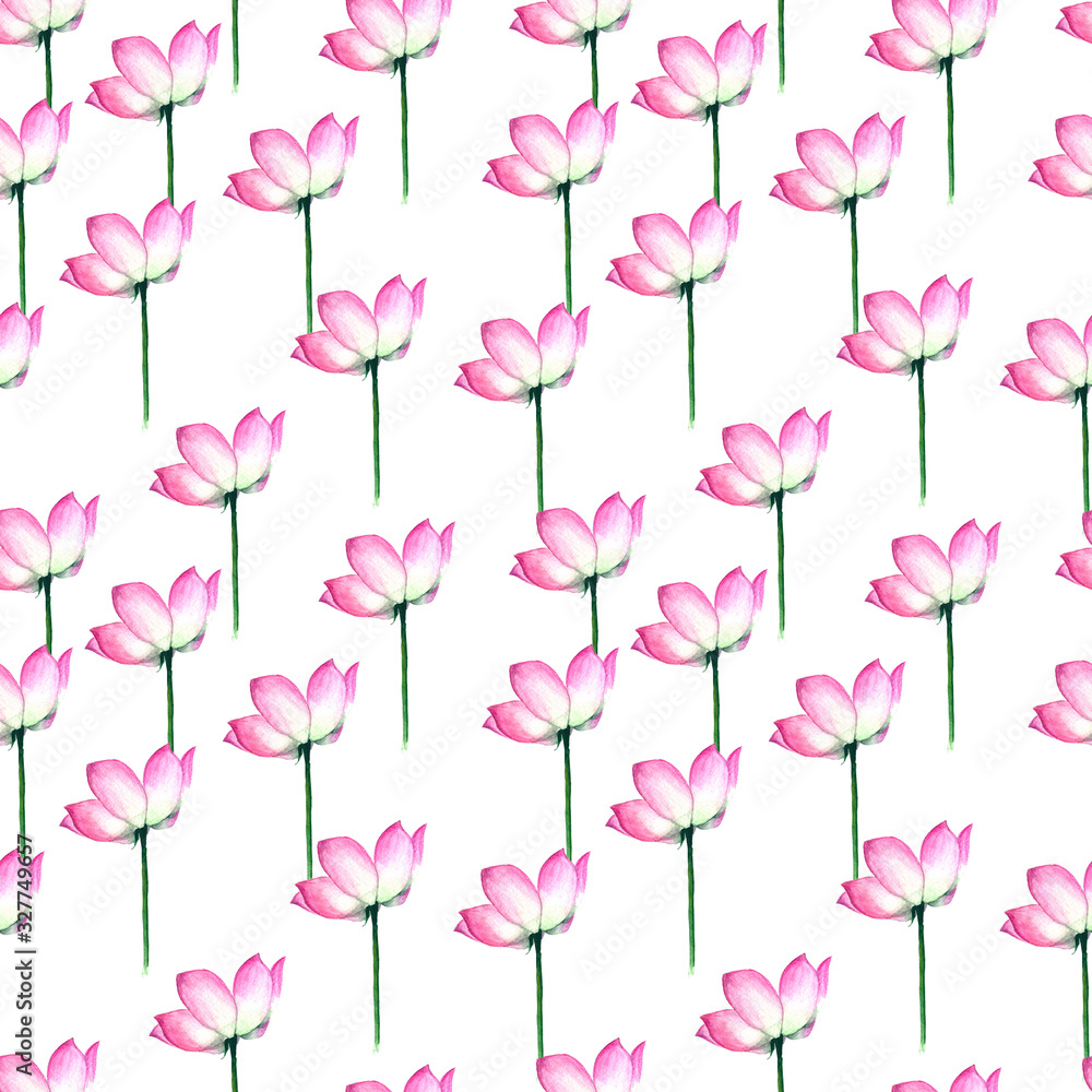 Watercolor pink lotus flowers with buds on white background, hand drawing, seamless pattern
