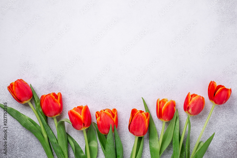 Row of red tulips on light stone background. Creative flat lay. Top view. Copy space