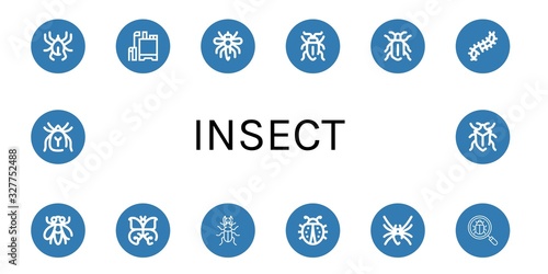 insect simple icons set