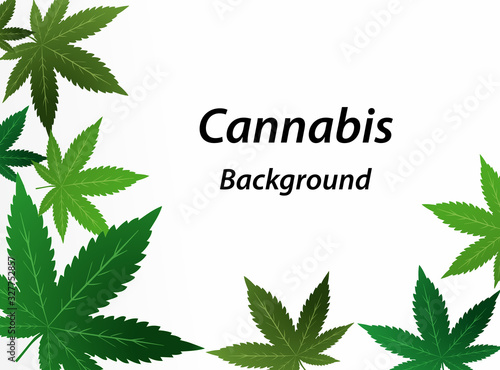 Green cannabis leaves white background. Vector illustration.