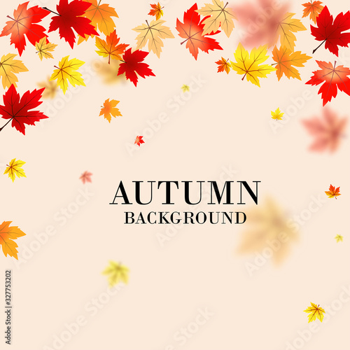 Autumn maple leaves background use for decorate  website  logo etc . vector illustration