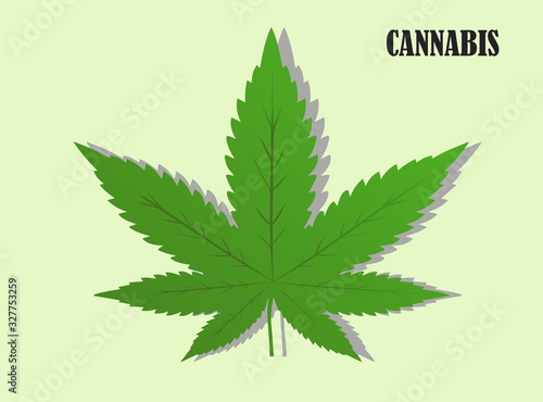 Marijuana cannabis leaf Vector illustration