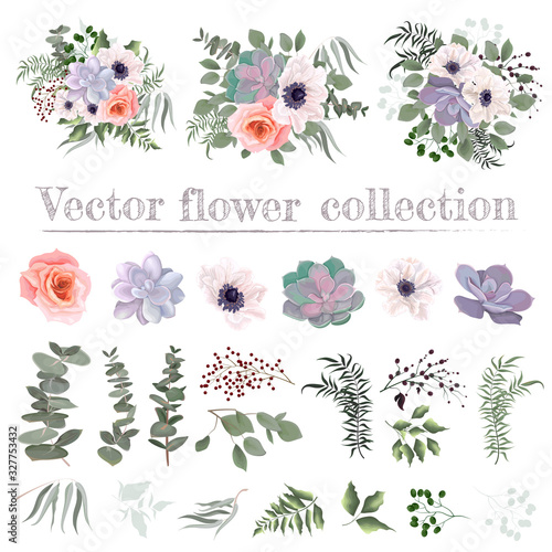 set of floral elements for your design