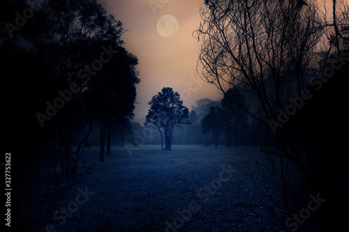 Dark Moody Tree forest scene with full moon