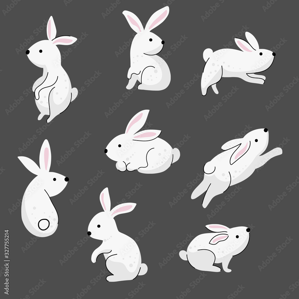 Collection of some cute rabbits Collection of some cute rabbits
