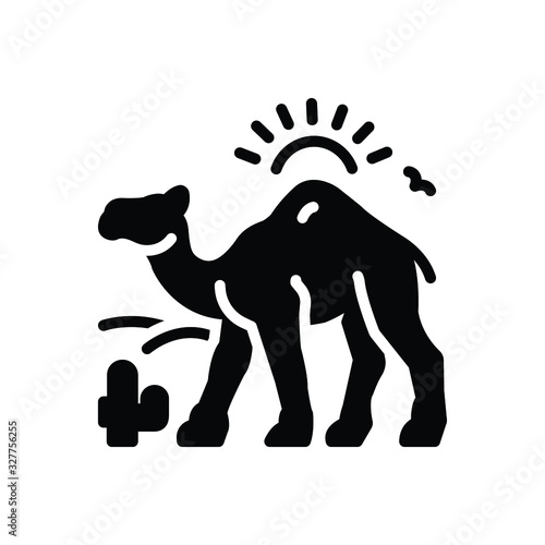 Black solid icon for camel in desert with sun 