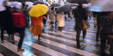 Pedestrians crossing street on rainy night, Tokyo, Japan　雨の夜 傘をさして横断歩道を渡る人々 東京