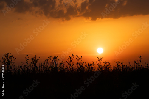 Orange sunset over the autumn field.