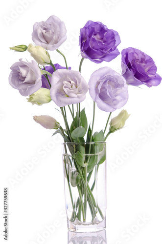 bunch of violet and white eustoma flowers in glass vase isolated on white © Soyka