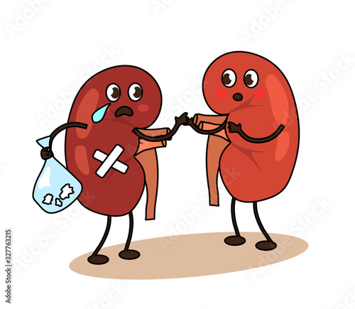 Kidneys on a white background. Stones in the kidneys. Vector illustration.