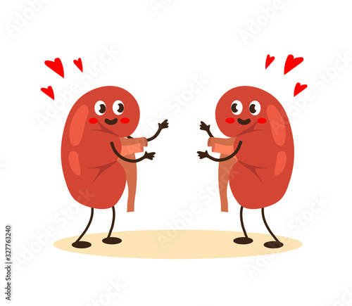 Healthy human kidneys on a white background. Vector illustration.