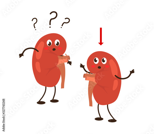 Sick human kidneys on a white background. Renal nephroptosis. Vector illustration.