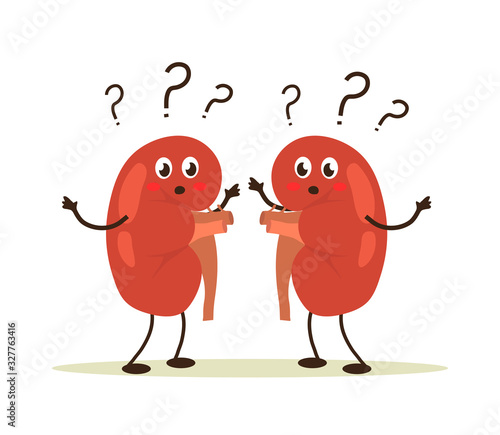 Human kidneys as a question mark on a white background. Cartoon. Vector illustration.