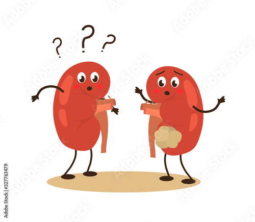 Kidneys on a white background. Disease. Vector illustration.