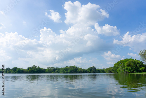 Green forest at lake with reflection blue sky and white cloud in the water beauty nature background