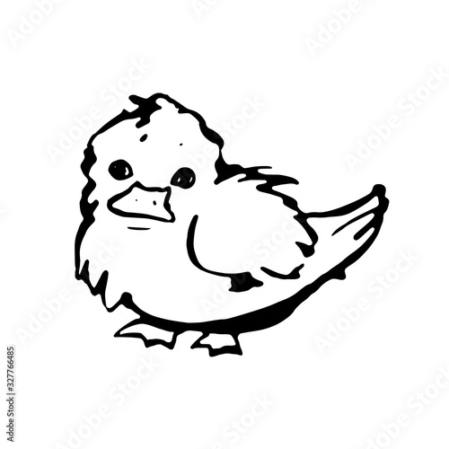 Cute duckling. Monochrome vector illustration in line art style. Hand drawn. On white background.