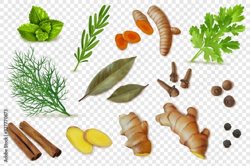 Realistic dry spices roots herbs transparent set