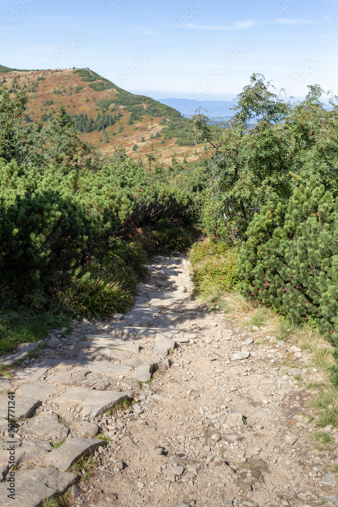 Hiking path to Babia Gora Mountain in Poland under blue sky in summer, polish Beskid Mountains landscape with path