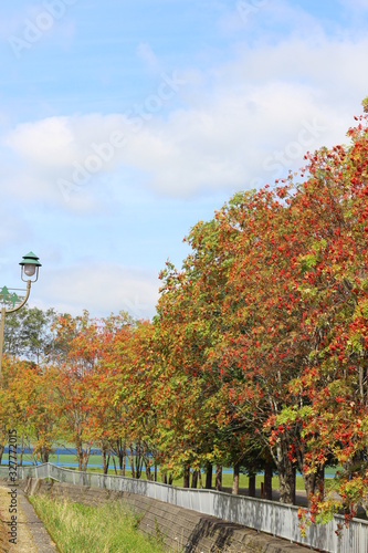 秋の公園　川沿いの紅葉と街灯