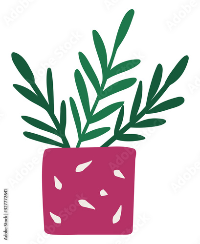 Leaves in flowerpot in pink color with pattern element of garden decoration. Beautiful branches natural decor in colorful container symbol. Tropical growth blossom in pot isolated on white vector