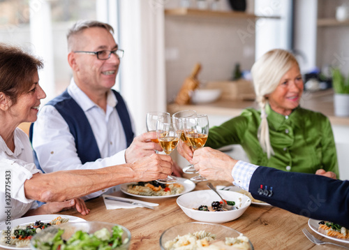 Group of senior friends at dinner party at home  clinking glasses.