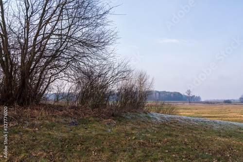 Fototapeta Naklejka Na Ścianę i Meble -  Łąki nad Narwią. Dolina Narwi. Tykocin, Kiermusy, Podlasie, Polska