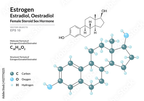 Hormone Estrogen (Estradiol, Oestradiol). Structural Chemical Formula and Molecule 3d Model. Atoms with Color Coding. Vector Illustration