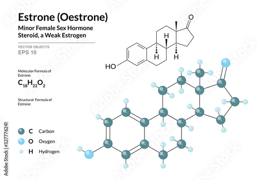 Hormone Estrone (Oestrone). Structural Chemical Formula and Molecule 3d Model. Atoms with Color Coding. Vector Illustration photo