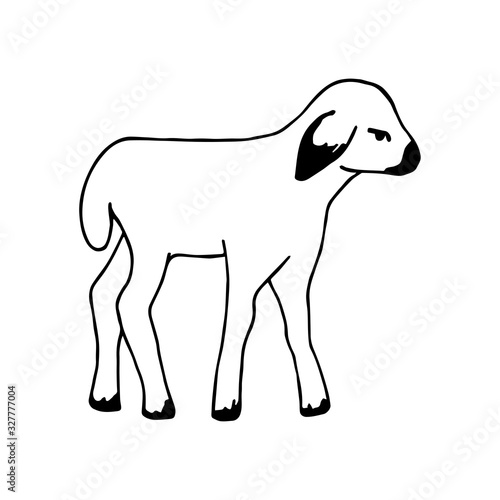 Simple hand-drawn black outline vector drawing. Little kid, cute lamb isolated on a white background. Farm animals, livestock breeding, zoo.