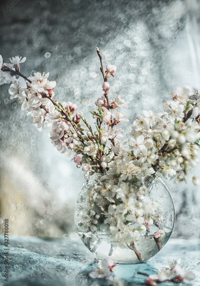 Fototapeta Flowering branches with white delicate flowers of cherry and apricot in a glass transparent vase. Atmofer of awakening of nature, spring joy. Art photo with soft selective focus. Delicate soft colors.