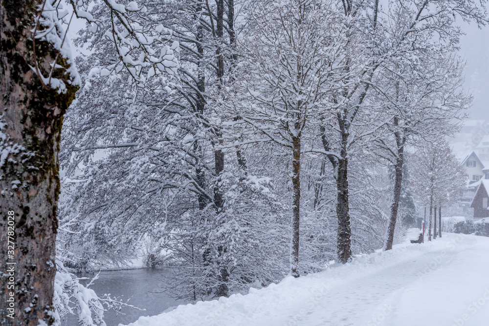 snowy and frozen landscape in winter snowy and frozen landscape in winter