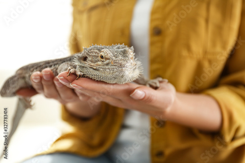 Young woman with bearded lizard at home, closeup. Exotic pet