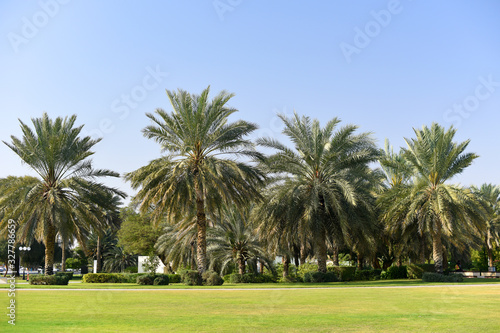View of the UNESCO enlisted oasis with traditional water channels and various palms in Al Ain, United Arab Emirates. © Alena