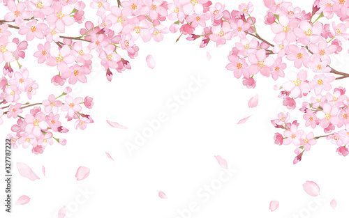桜と散る花びらのアーチ型フレーム 水彩イラスト