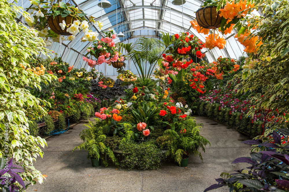 Wonderful greenhouse