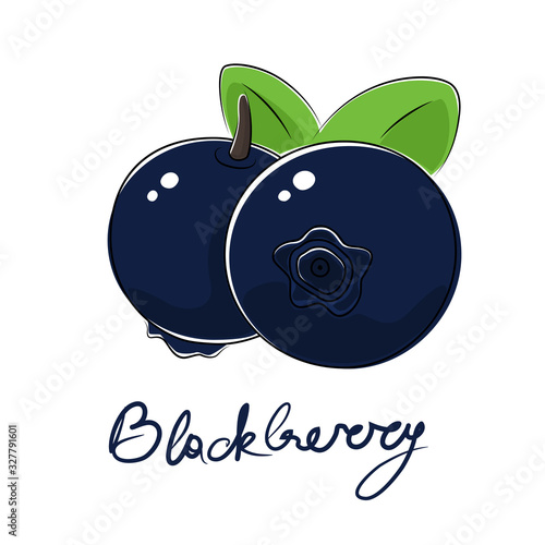 Sweet berry dewberry and text Blackberry , fruit isolated on white background, vector illustration