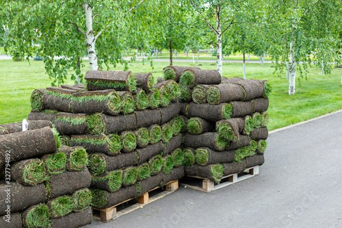 stacks of sod rolls for landscaping. Lawn grass in rolls on pallets on street. rolled grass lawn is ready for laying