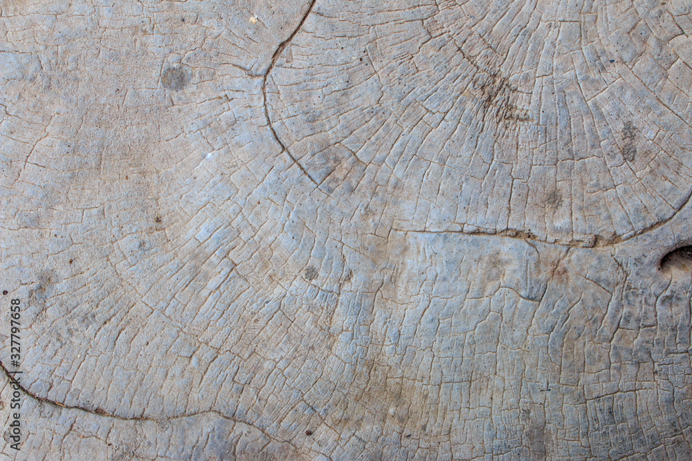 Wood pattern on cement texture and background Wood pattern on cement texture and background