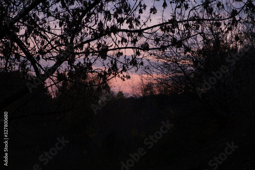 Amazing beautiful late autumn sunset view with mist under land. Sun goes down with red sky. Bare tree brunches in front.