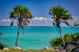 Panoramic views with palm trees of Tulum, Yucatan Peninsula