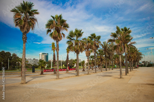 palm trees on the beach-barcelona © Kristiyan