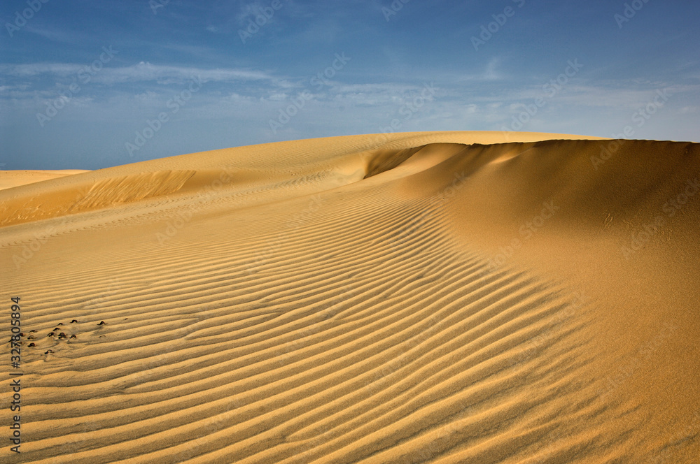 Dune desert in Senegal. Africa.