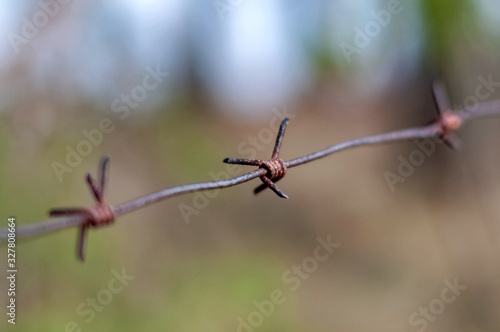Rusty barbed wire in the forest, photographed close-up