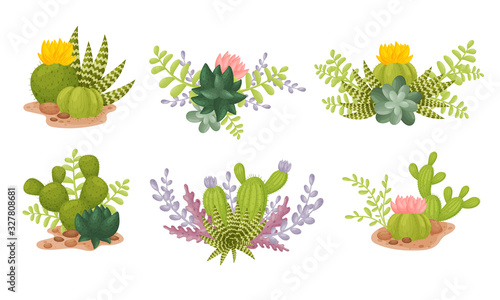 Succulents and Cactus Growing in Soil Compositions Vector Set