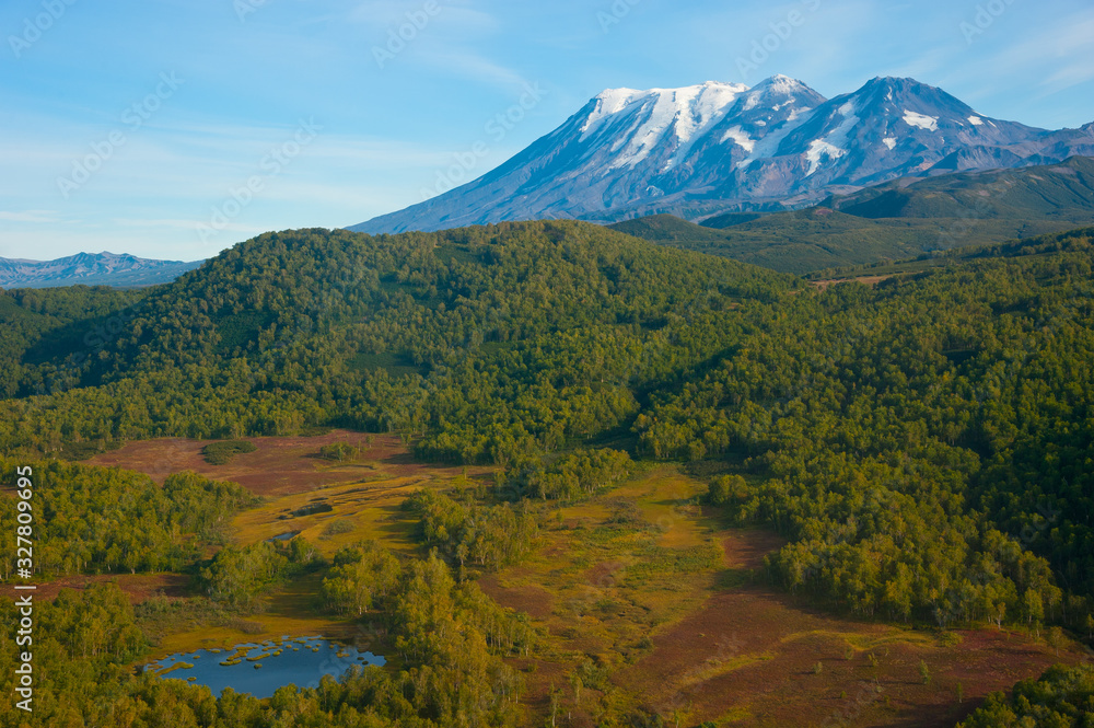 Fototapeta premium View of the forest and volcanoes, Kamchatka.