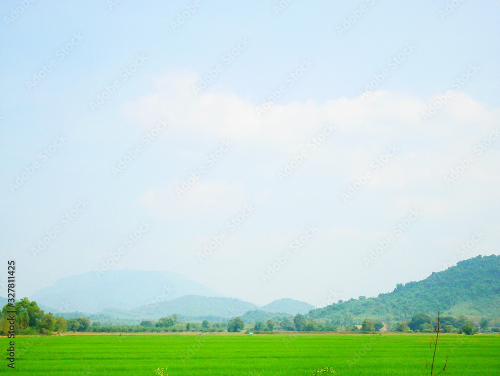 sky lanscape field green 