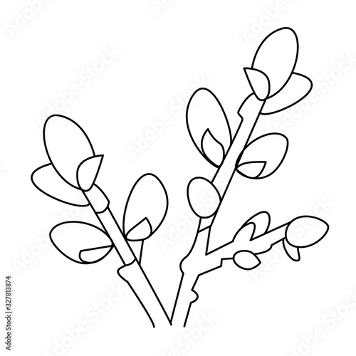Sprig of willow in hand drawn doodle style isolated on white background. Design Easter card, coloring page. Outline stock illustration. Branches blossom pussy willow tree.Sign vector floral element.