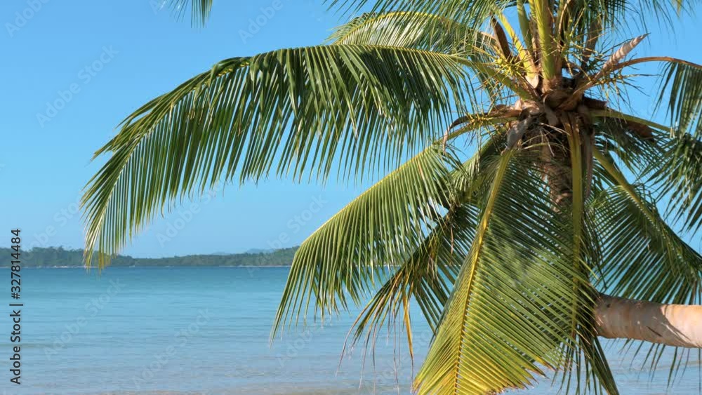 Tropical beach with coconut palm and turquoise water. Island tropical beach with white sand, turquoise sea water and coconut palm trees.
