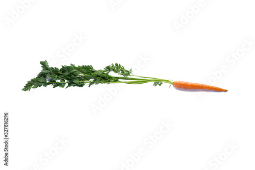 Carrot isolated on white. Vegan and vegetarian concept
